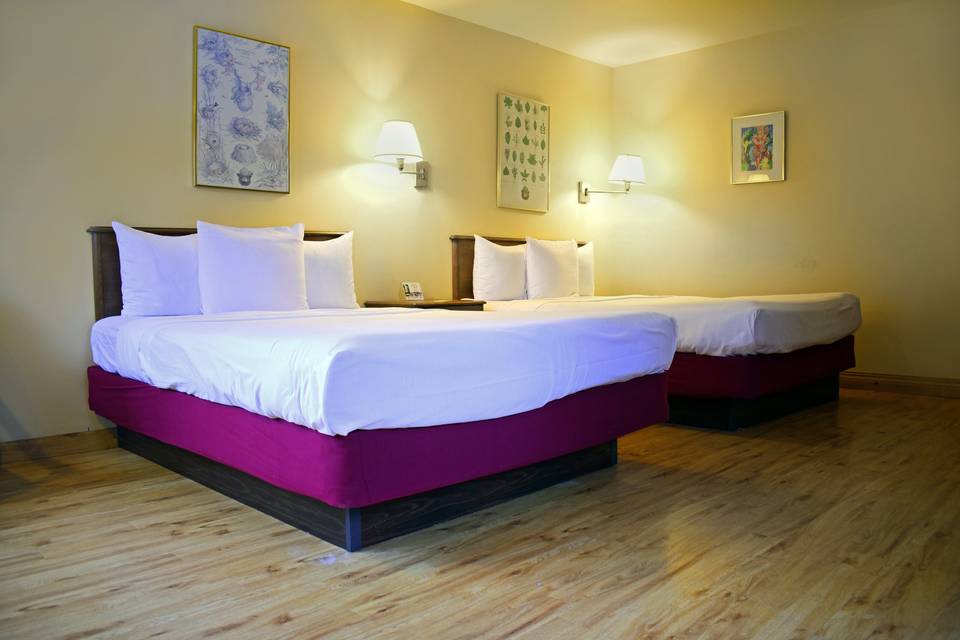 Comfortable Lodge Rooms