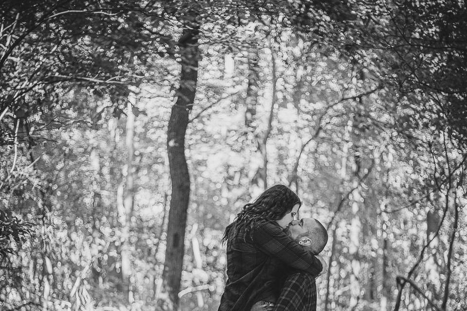 Wooded Engagement