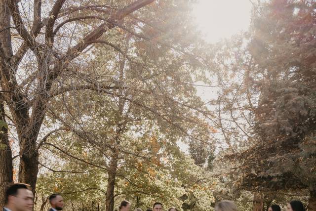 A & J 2023 Wedding