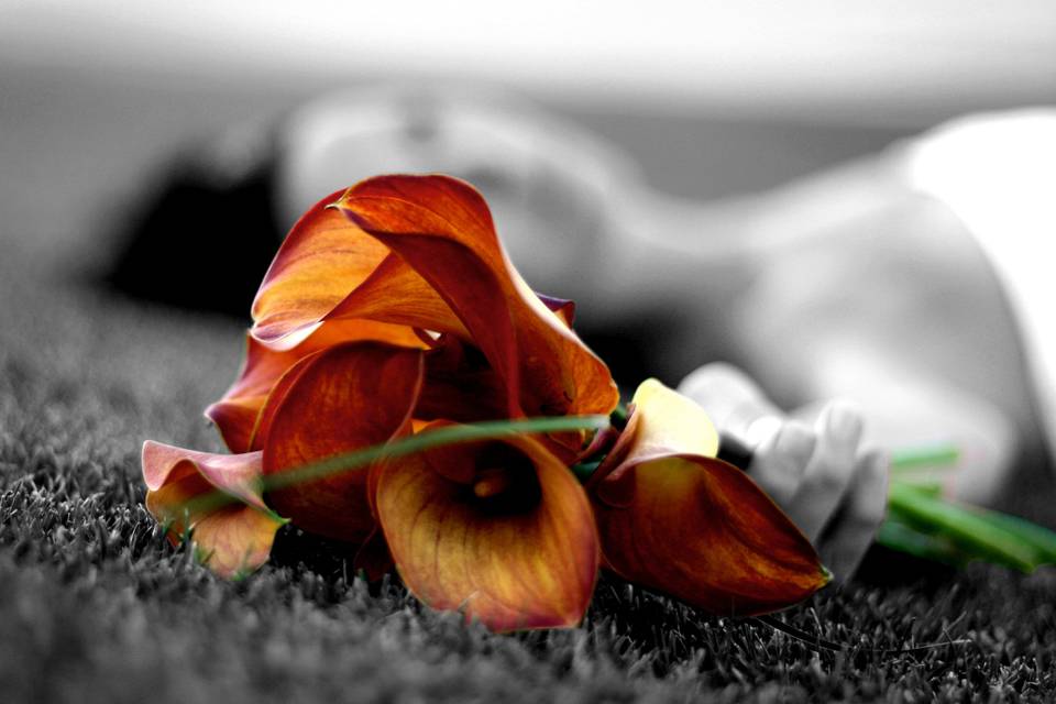 Silva Studios Photography