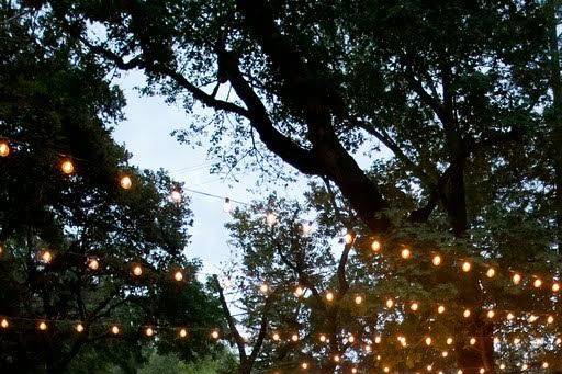 Bay Area Event Lights