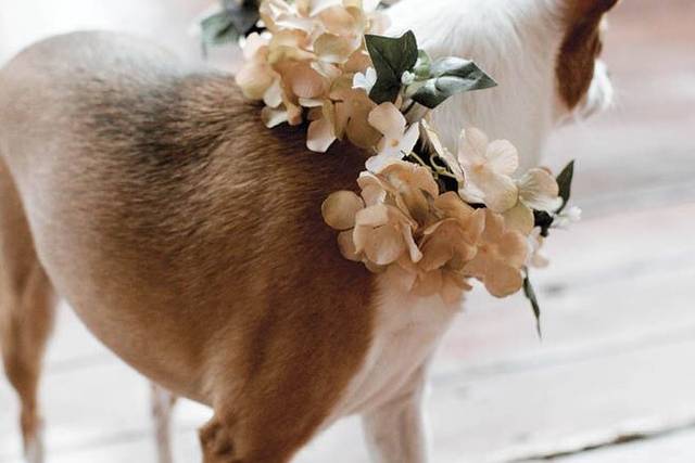 Floral wreaths
