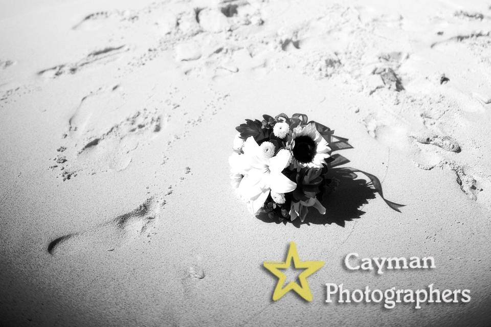 Cayman Photographers