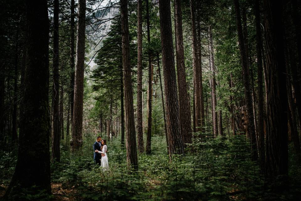 Adventure wedding couple photos in the forest. Incline village has many trees to have wedding photos.