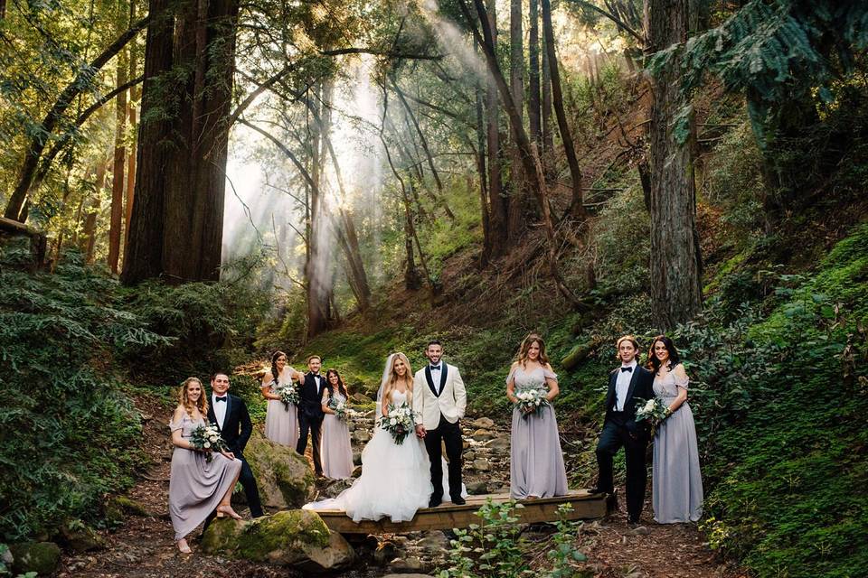 mountain wedding party with couple in the forest