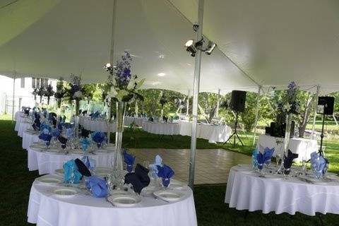 A Perfect Event Productions and Party Rental