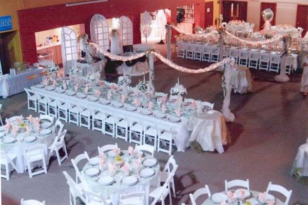 A Perfect Event Productions and Party Rental