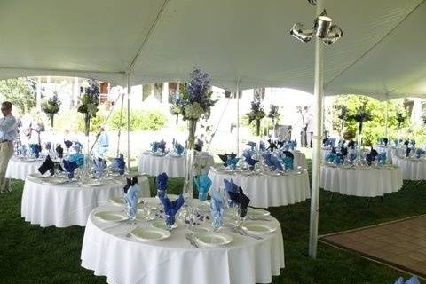 A Perfect Event Productions and Party Rental