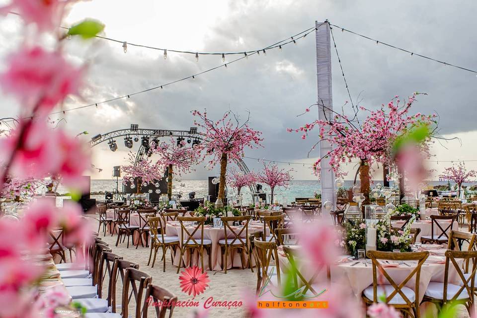 Cherry blossoms wedding