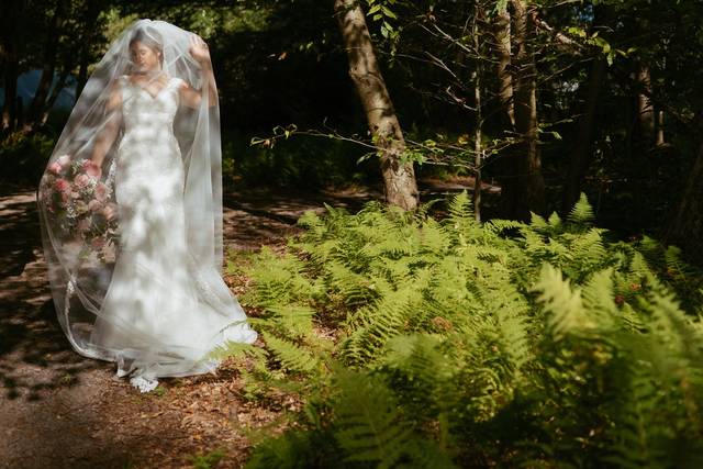 Wedding Day