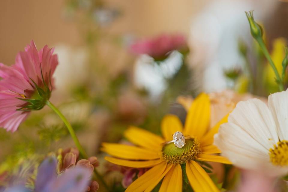 Wedding Day