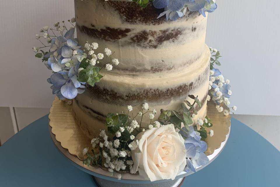 Two tier half-naked cake
