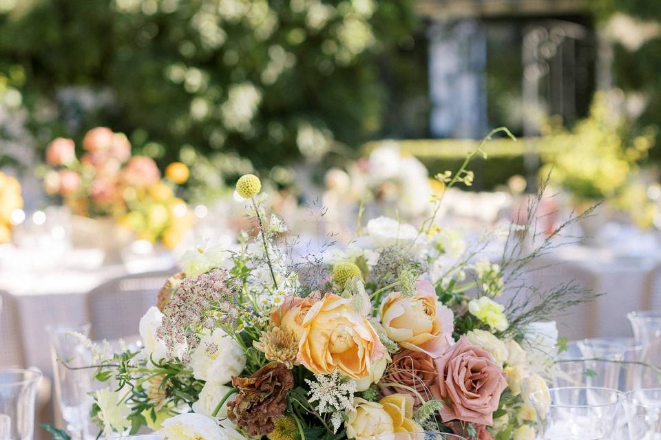 Bay Area wedding photographer
