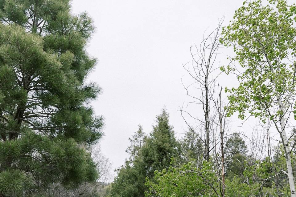 Utah Engagement Session