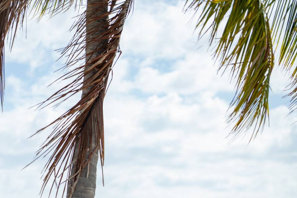 Beach wedding