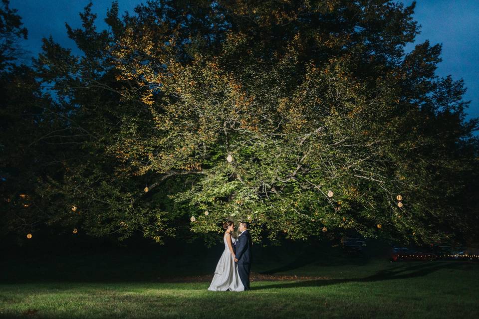 Ceremony tree