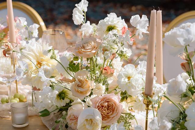 Well-Dressed Events Wedding