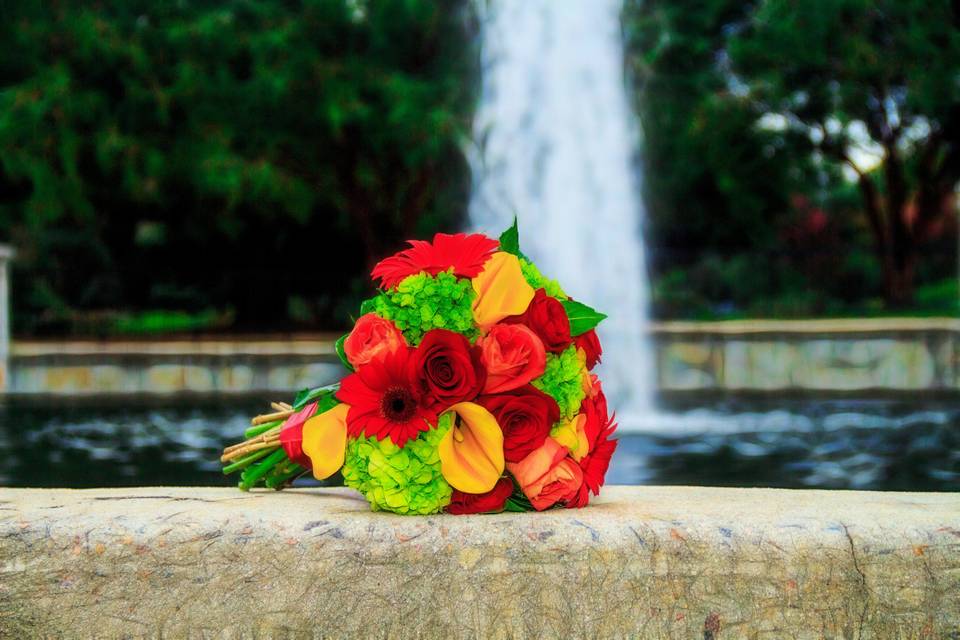 MinT Photography