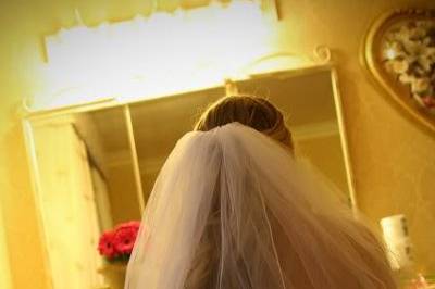 Crystal Cook Photography