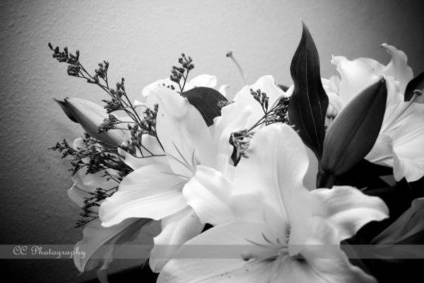 CC Photography