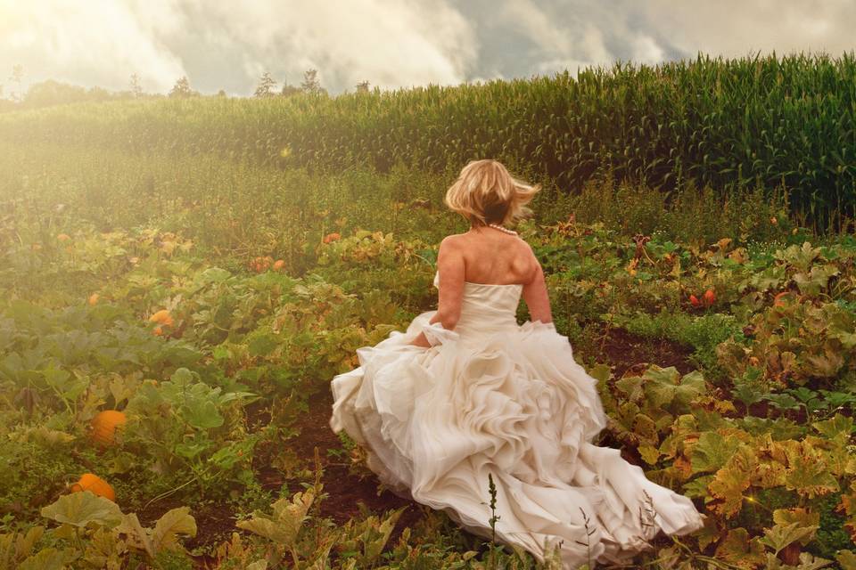 Bride in the Pumpkin Patch