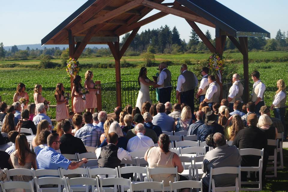 Outdoor ceremony