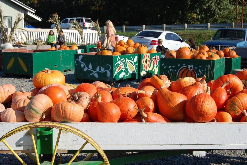 Carleton Farm