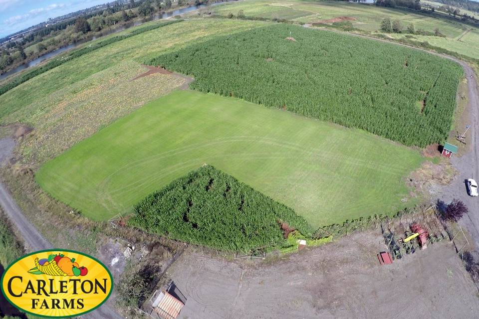 Field background view