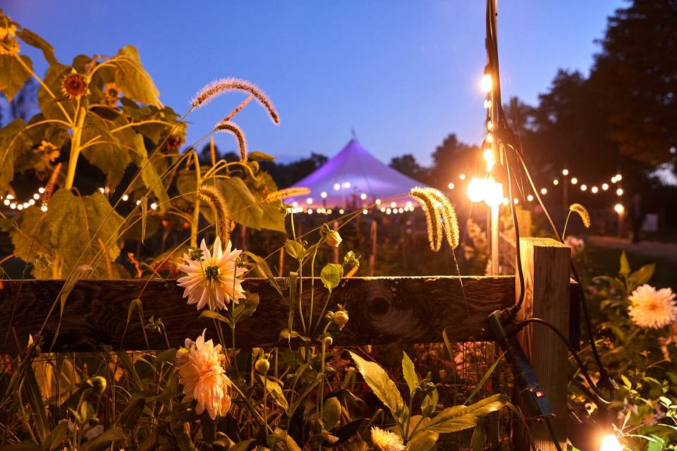 Garden Glow