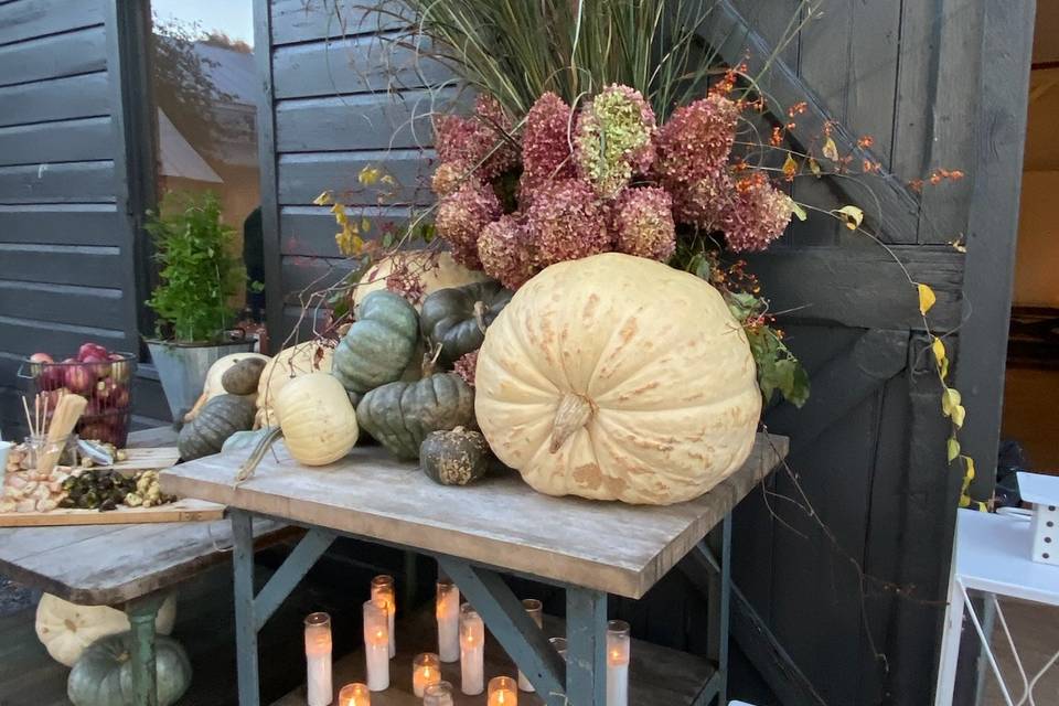 Fall Abundance Too