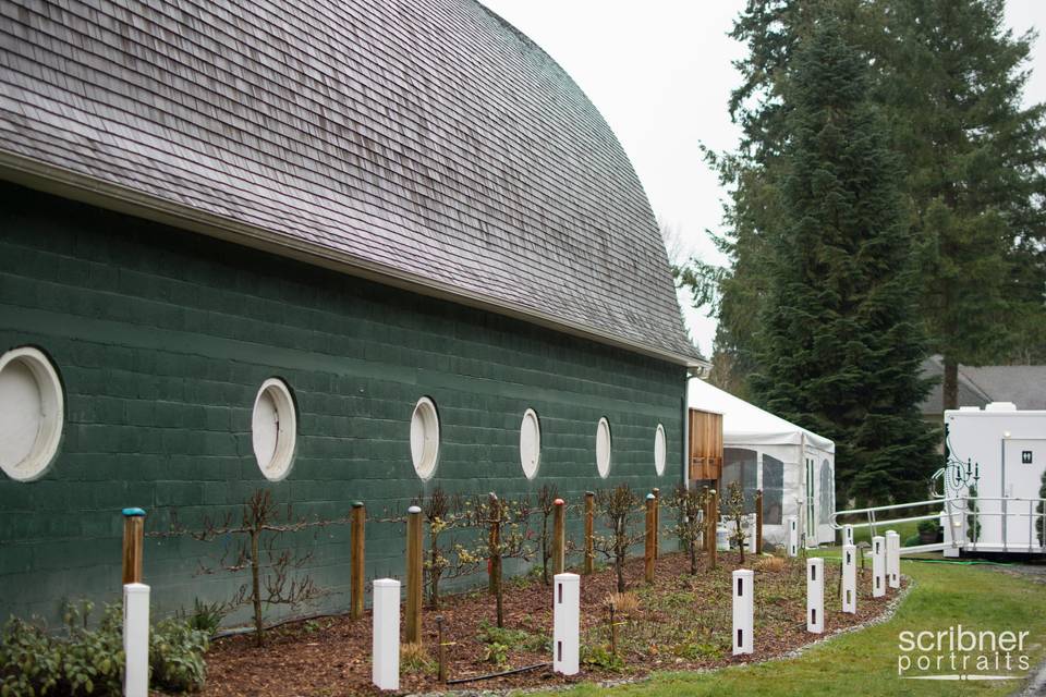 Edible garden ready for spring