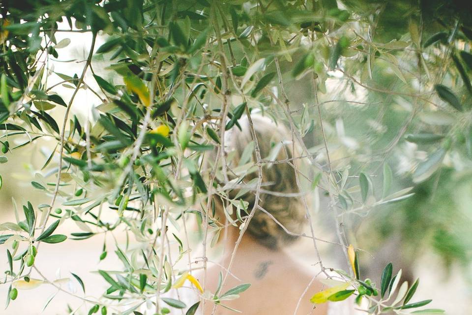 Wedding among olive leaves