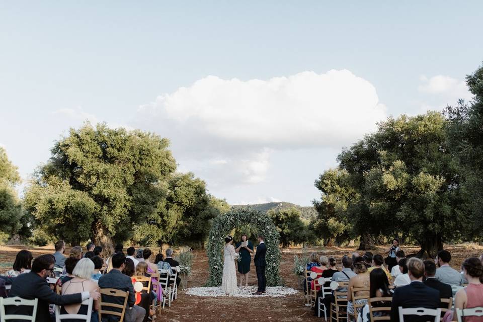 Olive groove ceremony
