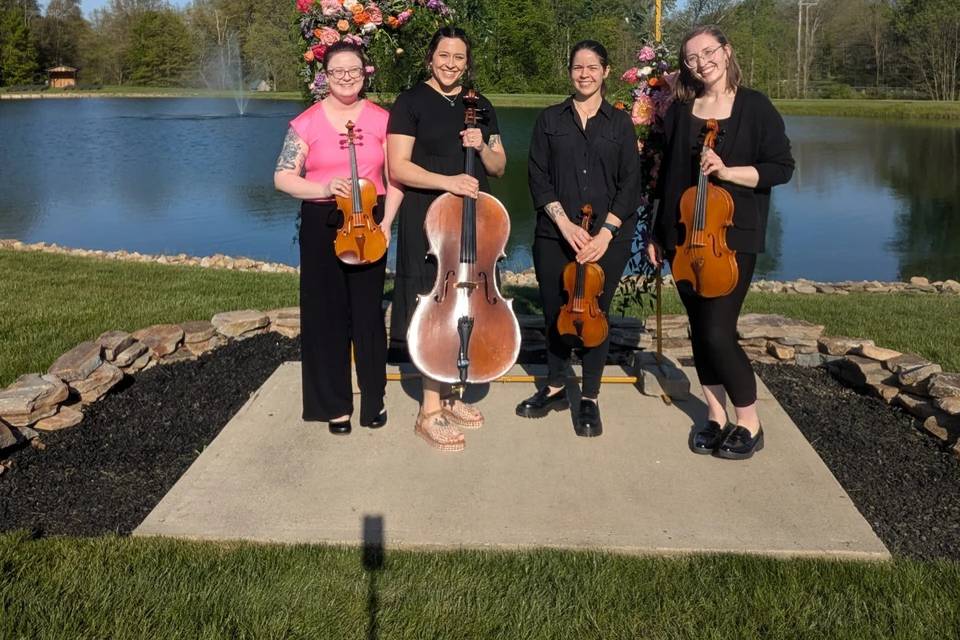 Premiere Strings