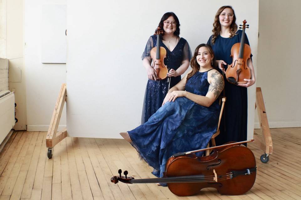 Trio - violin, viola, cello