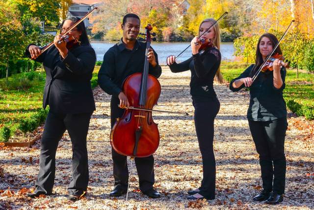 The Blue Moon Music Company