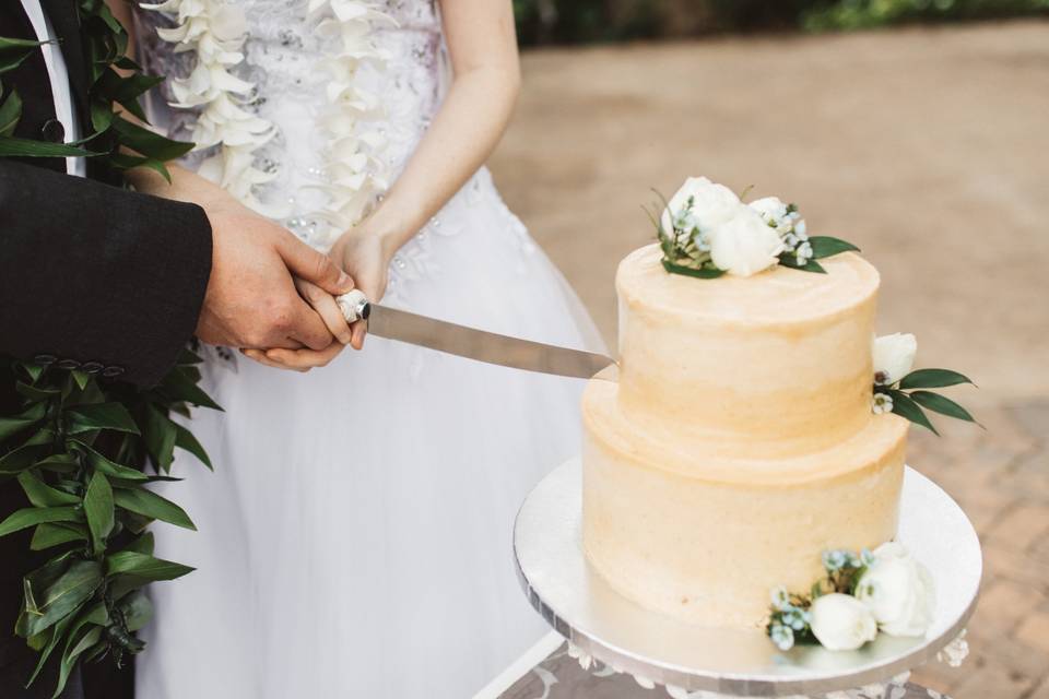 Cake Cutting Ceremony