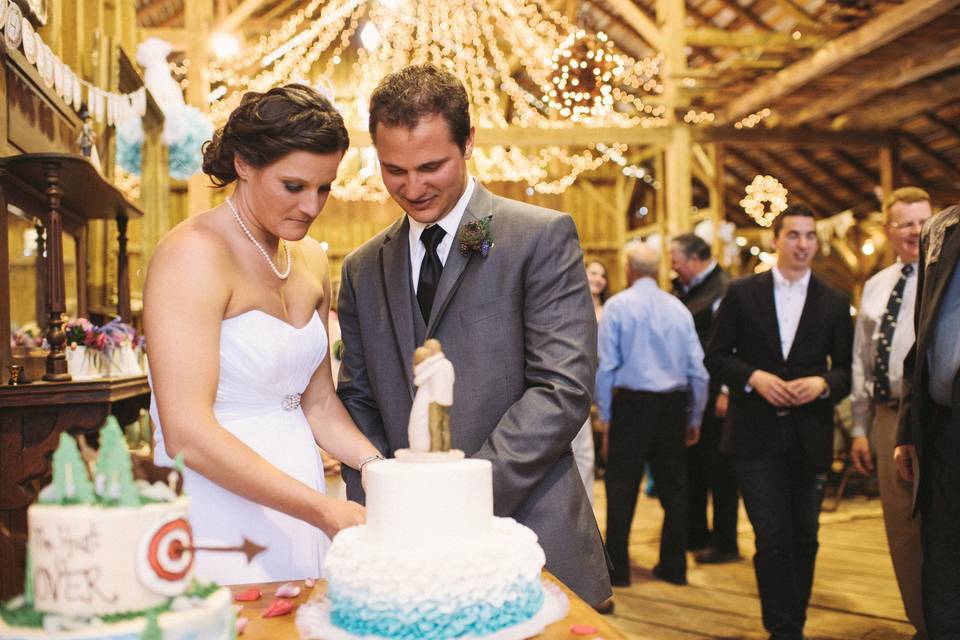 Cake cutting