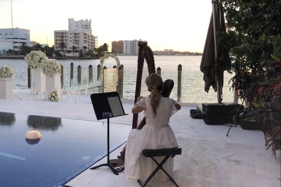 Romantic proposal with harp