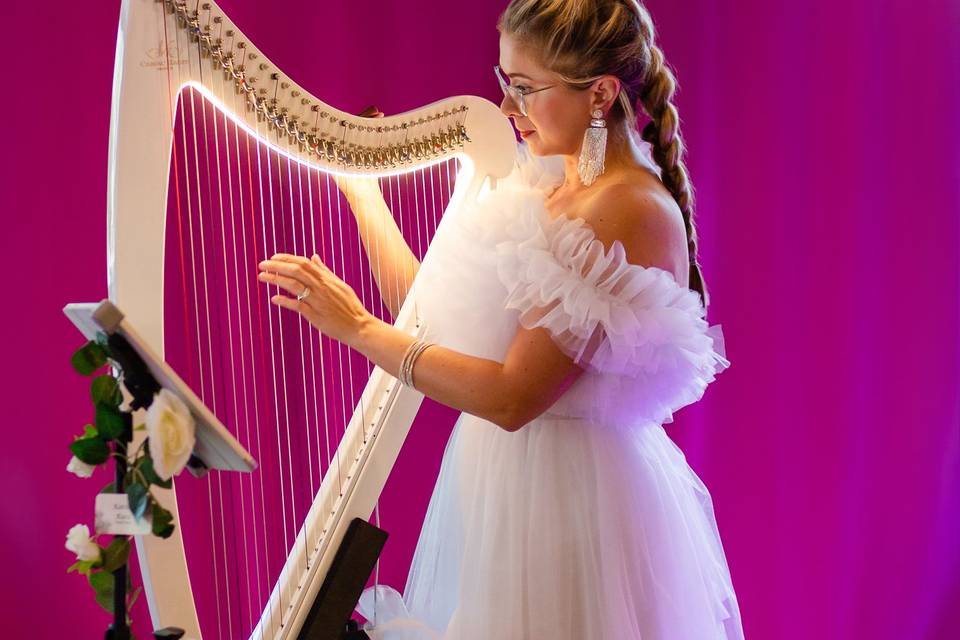 Electric harp