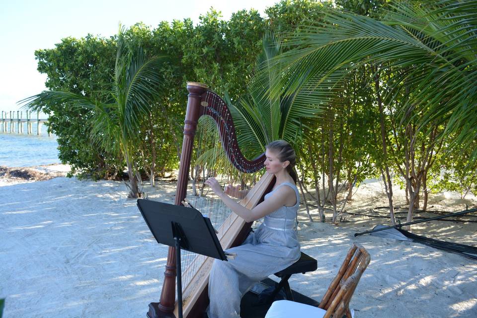 Wedding in the Keys