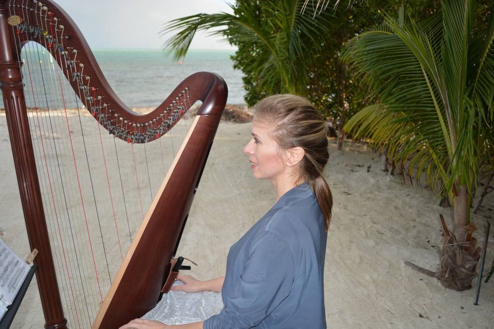 Performing on a Florida beach