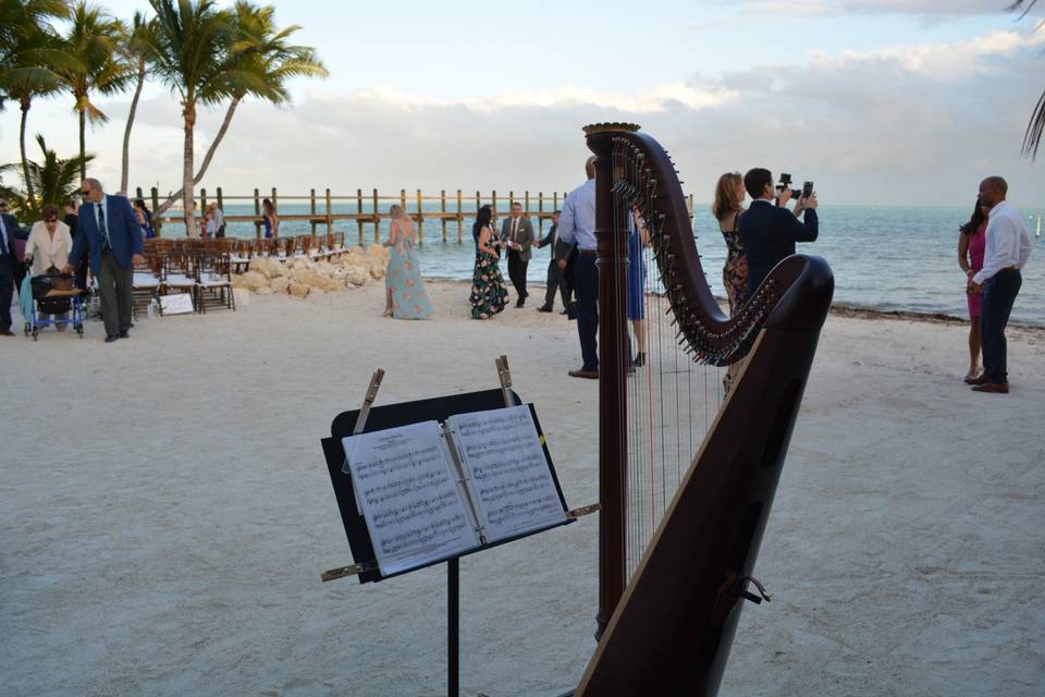 Wedding on the sand