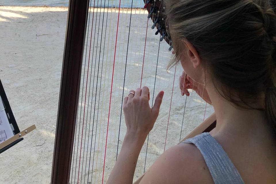 Wedding harp music