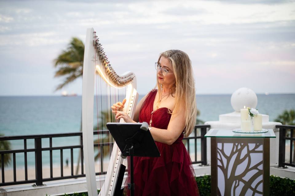 Electric Harp