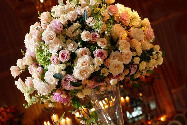 Luxury roses
