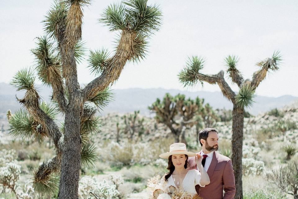 Joshua Tree Wedding