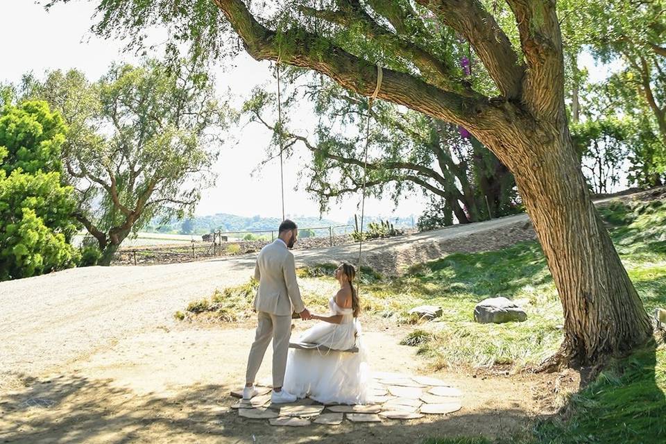 Wedding Photography