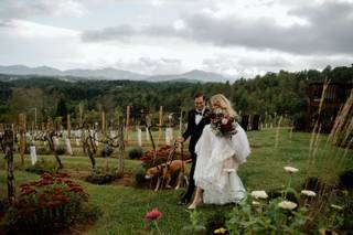 Longleaf Vineyard