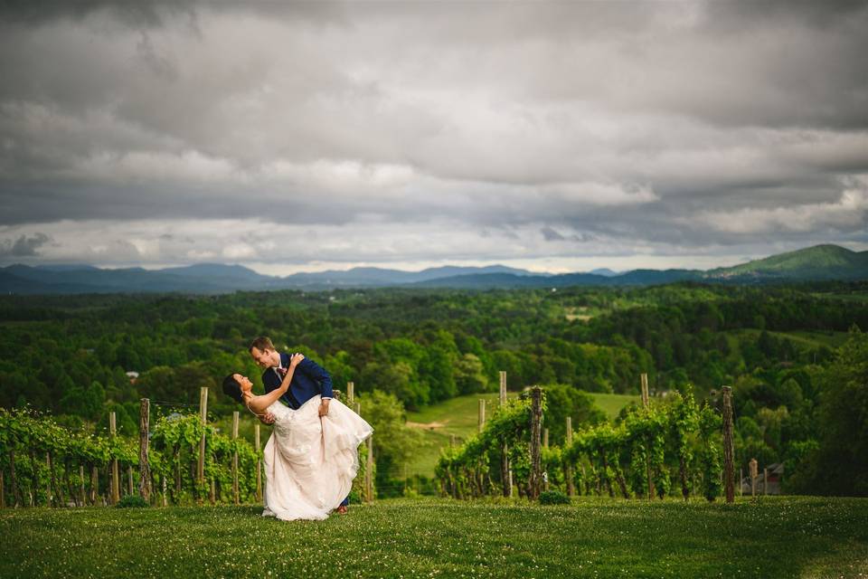 Vineyard with Mountains